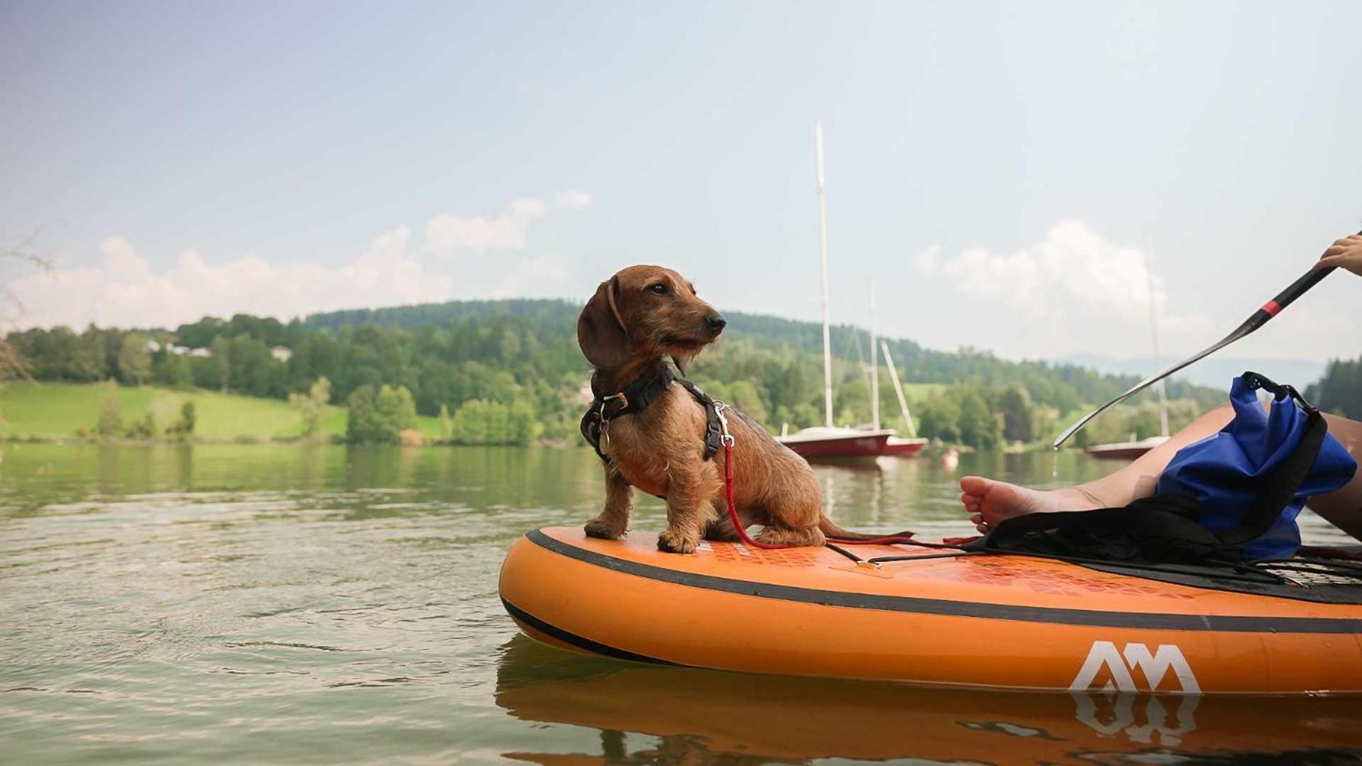 Feriendorf Am Maltschacher See Feldkirchen in Kärnten Exteriér fotografie
